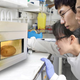 North Korean scientists microwaving a potato.